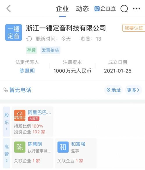 阿里进军资产评估领域，成立浙江一锤定音科技公司布局咨询策划服务